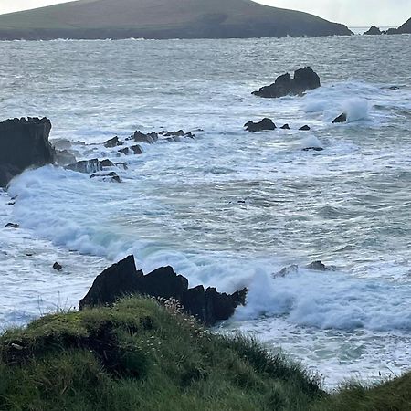 Murphy'S Guesthouse Dingle Esterno foto