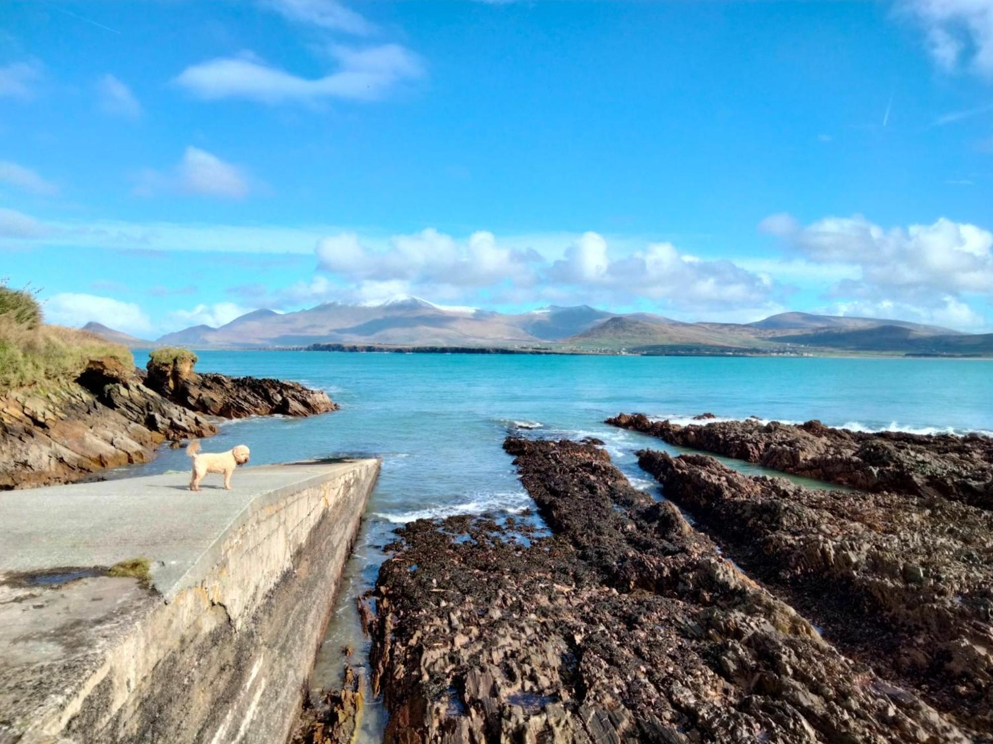 Murphy'S Guesthouse Dingle Esterno foto